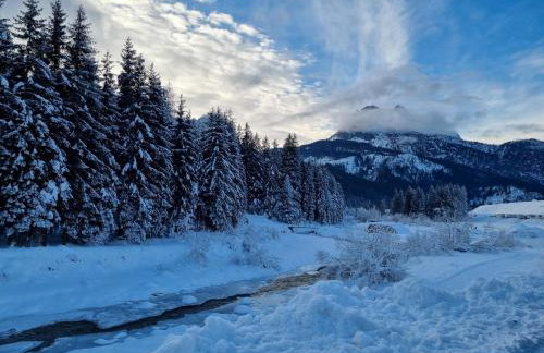 Hirsch Haus - Foto 7