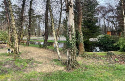 Haus am Teich - Foto 9