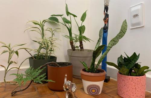 Rio excelente localização - Foto 22