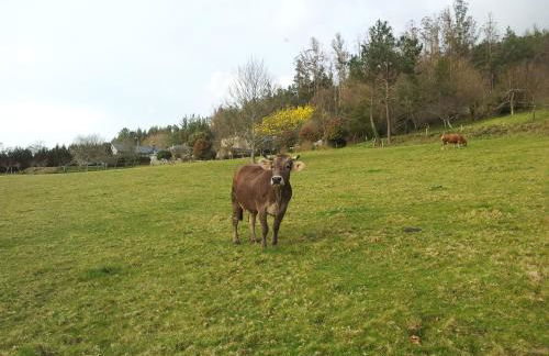 Casa Rural Graña da Acea - Foto 90