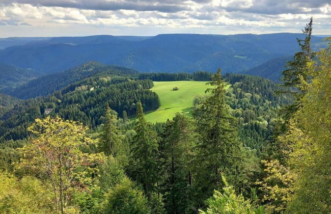 Ferienwohnung in Schiltach - Foto 34