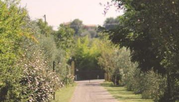 Pian del Pigro - Foto 4, Garden