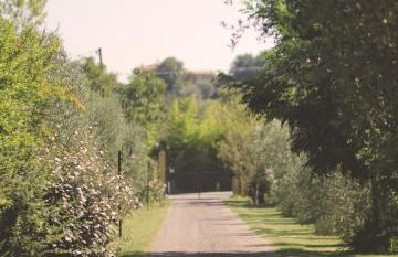 Pian del Pigro - Foto 4