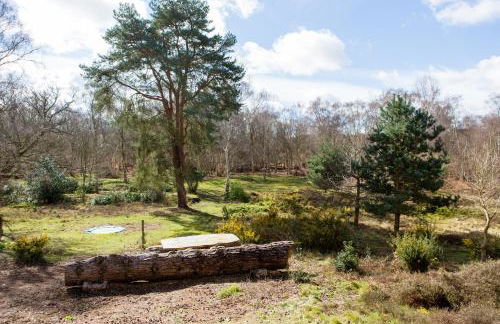 The Retreat, Unique property located in calming woodland surroundings, Close to Aldeburgh and Thorpeness - Foto 13