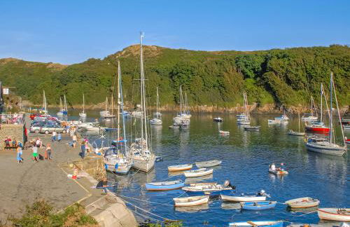 Carn Llidi Cottage - Photo 34