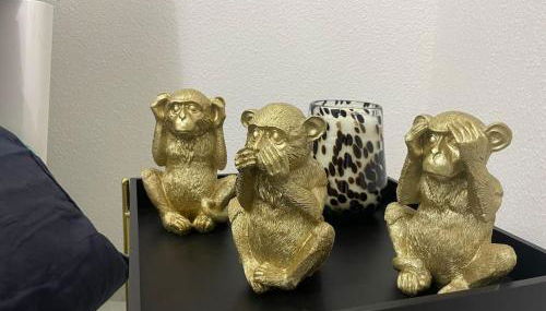 Golden seconds - Foto 4