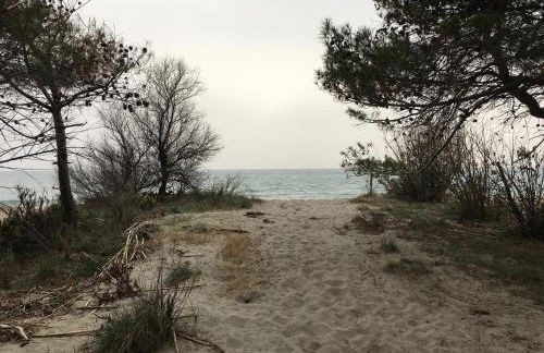 Villa delle Sirene - Foto 10