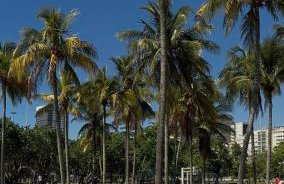 Stúdio Catete - Foto 58