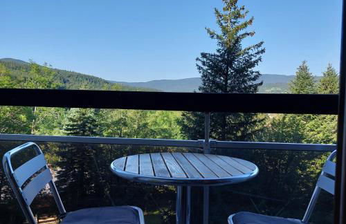 Studio aux pieds des pistes - Le Balcon de Villard - Foto 16