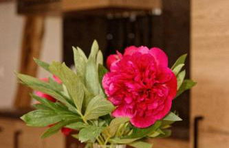 Wofahanslhof - Foto 55