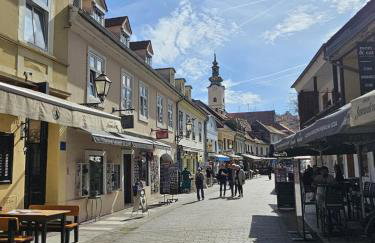 Brick Studio Apartment Tkalča - Foto 5