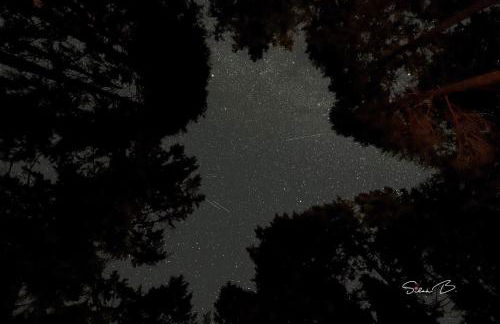 Blissful Solitude Cottage - Foto 16