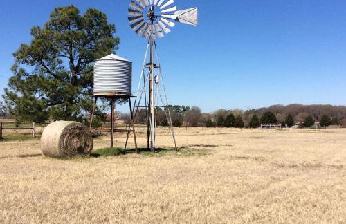 The Carriage House of Canton - Foto 15