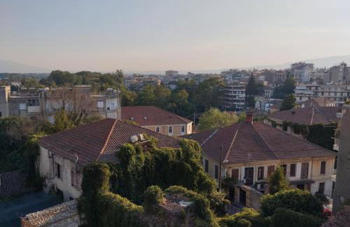 Belvedere 3 - Studio - Foto 21