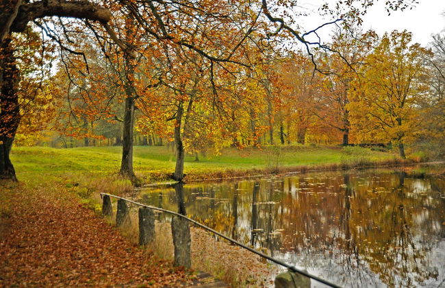 Kronovalls vinslott - Foto 30