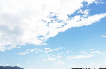 blueline guesthouse - Foto 29