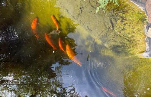 Holiday Home Ferienvilla mit Garten- Grill und Terrasse by Interhome - Photo 10