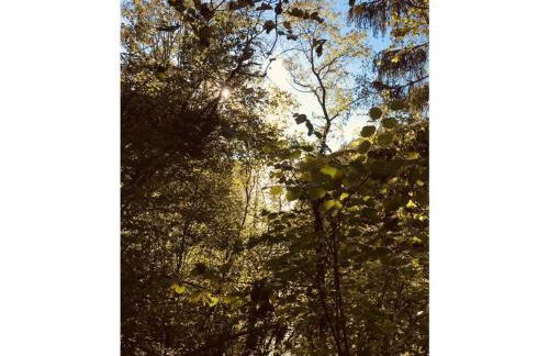 holiday home in the Franconian Forest - Foto 37