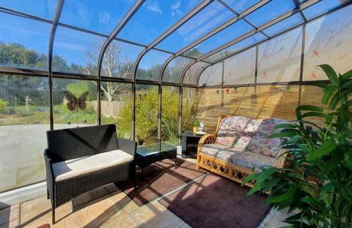 Sea Shells - Foto 31