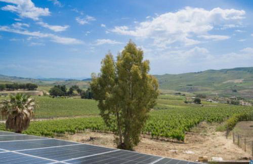 Tenute Nynfà - Foto 27