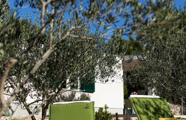 Olive Eden - Foto 43