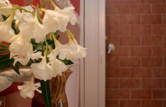 Agriturismo Parco dai Nonni - Foto 49