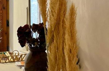 El Mirador de Benialfaqui, Apartamento Els Cireres - Foto 26