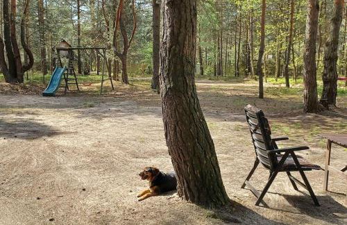 Wilga - klimatyczny domek z 2 tarasami - Foto 28