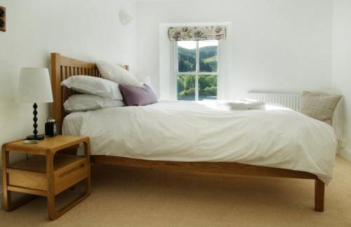 Bronfelin & Troed-y-rhiw Holiday Cottages - Foto 10