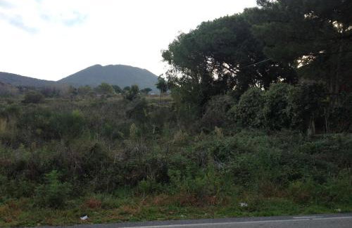 Villa Gianna - Foto 12