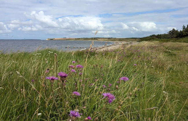 6 Person Holiday Home in Nykobing M - Foto 12