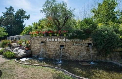 Mobil-home bww camping le bois dormant - Foto 32