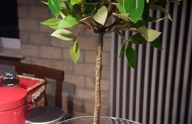 Loft Giuly - Foto 74