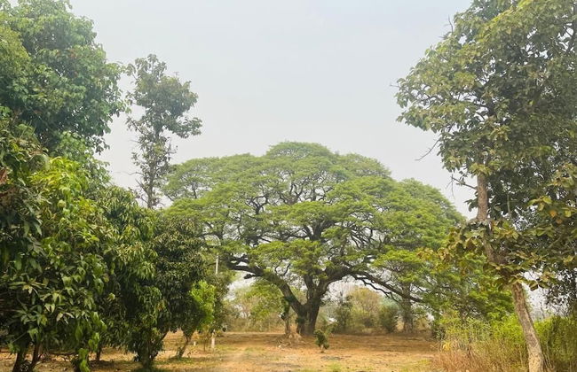 Salithyna villa - Foto 11