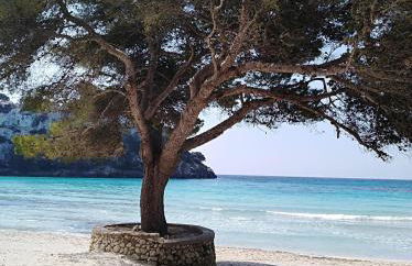 Garbí & Xaloc apartamentos - Foto 19