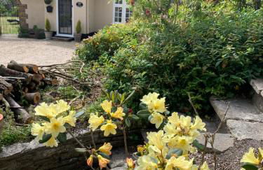 Tolpuddle Hideaway, Tolpuddle, Dorset - Photo 15