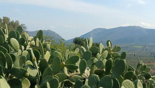 Traditional House in Velies - Foto 5