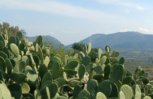 Traditional House in Velies - Foto 5