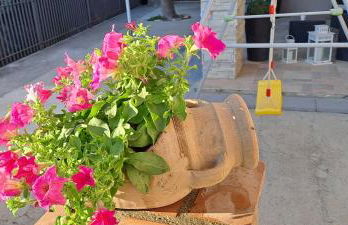 An&Gy house - Photo 25