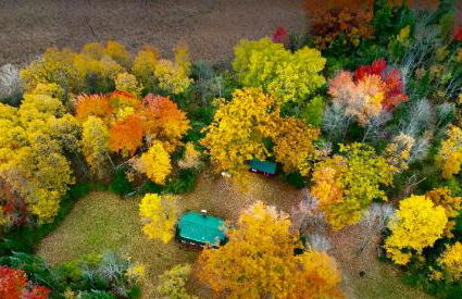 Cozy Private Log Cabin on acreage - Foto 1