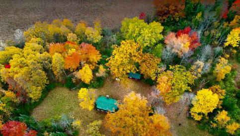 Cozy Private Log Cabin on acreage - Foto 1