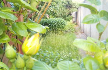 Wind & Wasser - Foto 23