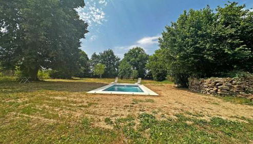 Le vieux tilleul - Foto 3