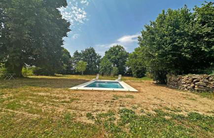 Le vieux tilleul - Foto 3