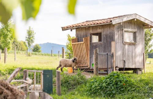 Beim Danner - Foto 50