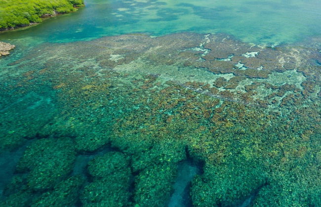 Serenity Beach House - Foto 39