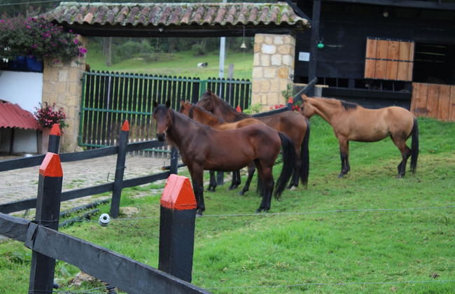 El Hostel Granjero - Foto 36