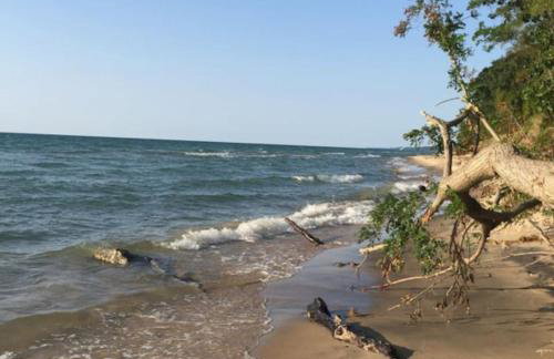 Peaceful Forested 5 Bdrm Near Lake sleeps up to 16 - Photo 22