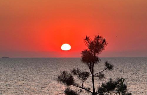 Wave Resort & Spa Magic Apartaments with sea view - Foto 2