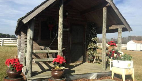 Rustic Cabin Rental on Secluded Farmland near Raleigh, North Carolina - Foto 1